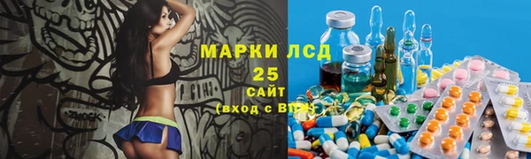 прущие грибы Вязьма