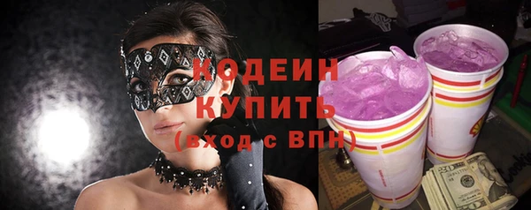 прущие грибы Вязьма