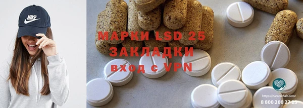 прущие грибы Вязьма