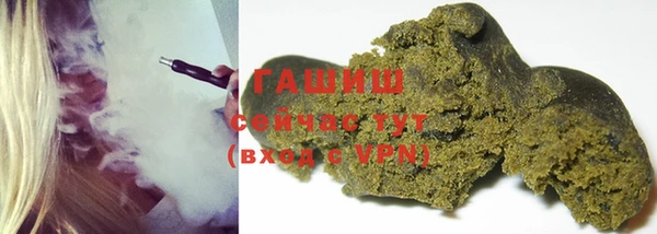 прущие грибы Вязьма