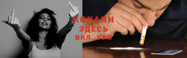 прущие грибы Вязьма