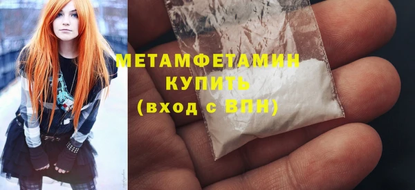 прущие грибы Вязьма