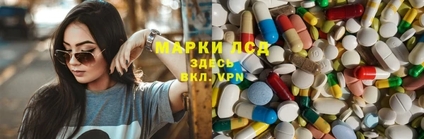 прущие грибы Вязьма