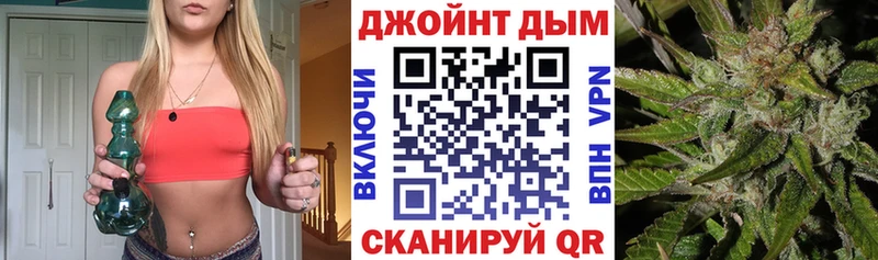 Каннабис сатива  Купить где  Ковылкино 